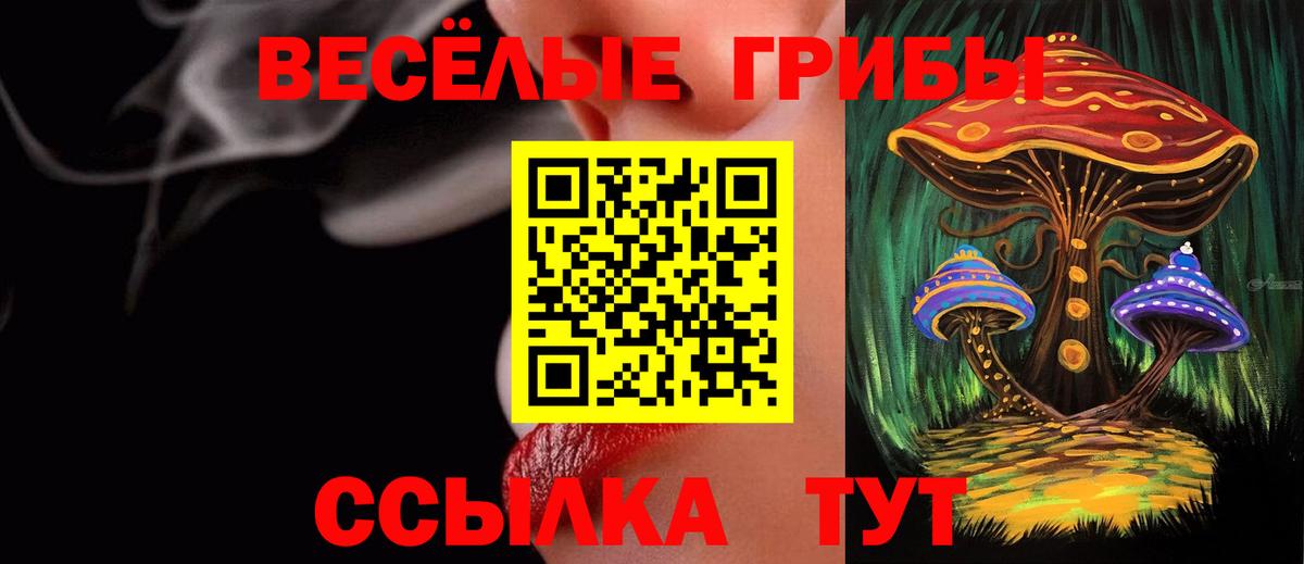Псилоцибиновые грибы прущие грибы Котельники