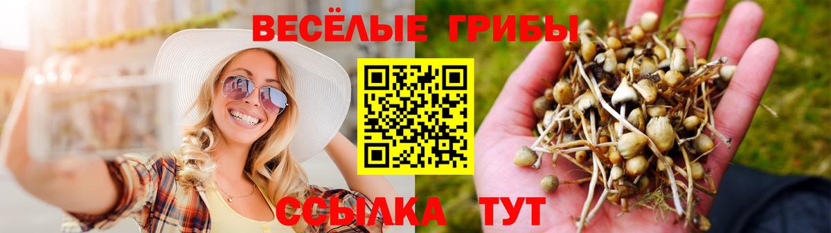 Псилоцибиновые грибы прущие грибы  Вход с VPN  Котельники 